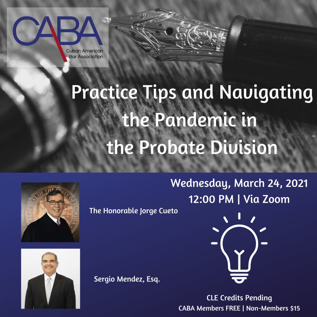 Practice Tips and Navigating the Pandemic in the Probate Division